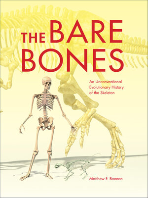 cover image of The Bare Bones